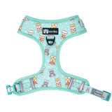 Adjustable Dog Harness - Dream Team (SECONDS - FINAL SALE)