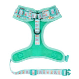 Adjustable Dog Harness - Dream Team (SECONDS - FINAL SALE)