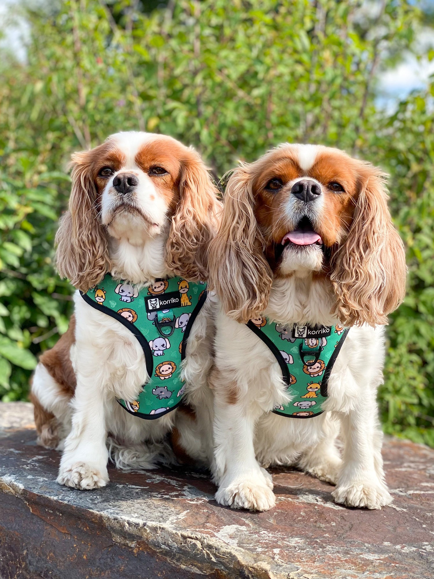 Adjustable Dog Harness - Safari