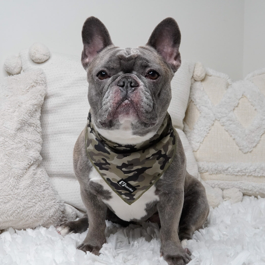 Cooling Dog Bandana - Green Camo