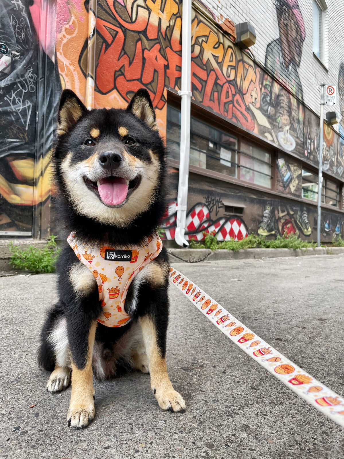 Adjustable Dog Harness - Chicken & Waffles (SECONDS - FINAL SALE)