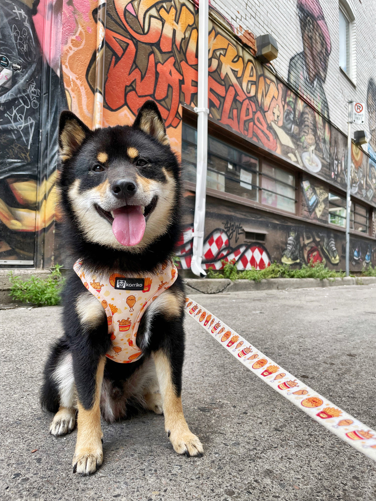 Adjustable Dog Harness - Chicken & Waffles (SECONDS - FINAL SALE)