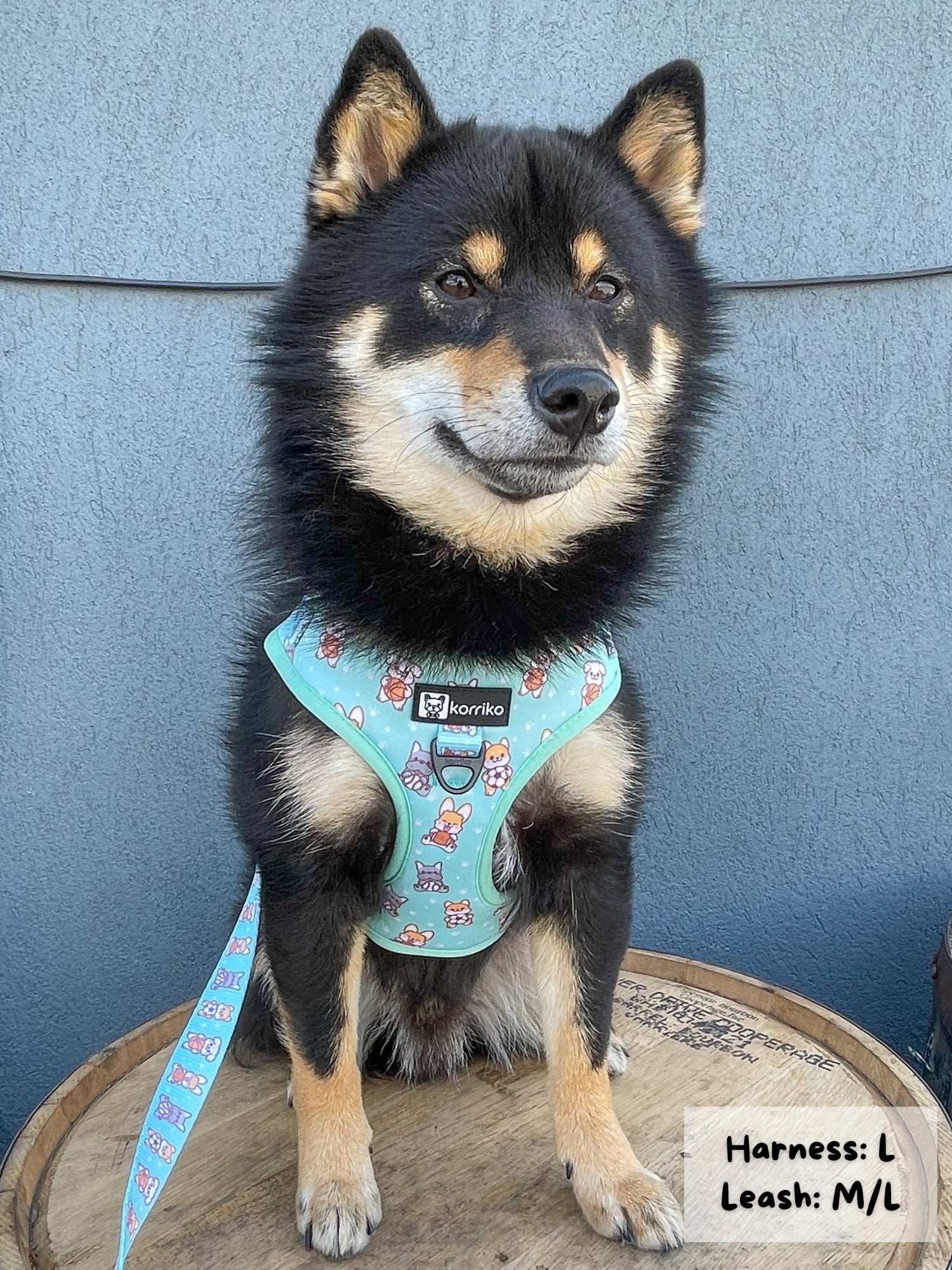 Adjustable Dog Harness - Dream Team (SECONDS - FINAL SALE)