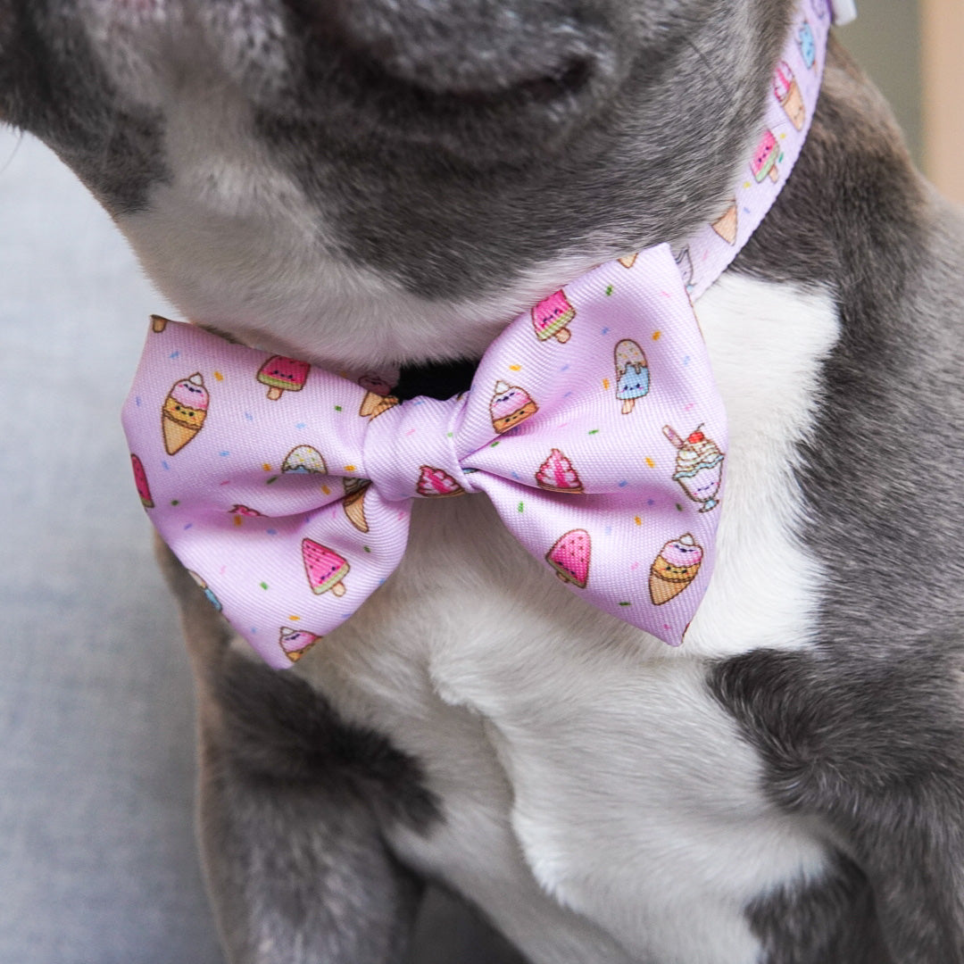 Ice cream dog collar sale
