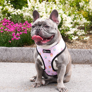 Reversible Dog Harness - Ice Cream (Final Sale)