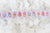 Dog Leash - Ice Cream (SECONDS - FINAL SALE)