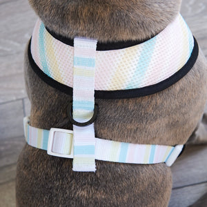 Reversible Dog Harness - Ice Cream (Final Sale)