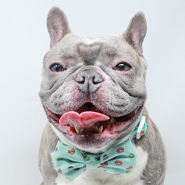 Dog Collar - Sushi (Blue Paw Co. - FINAL SALE)
