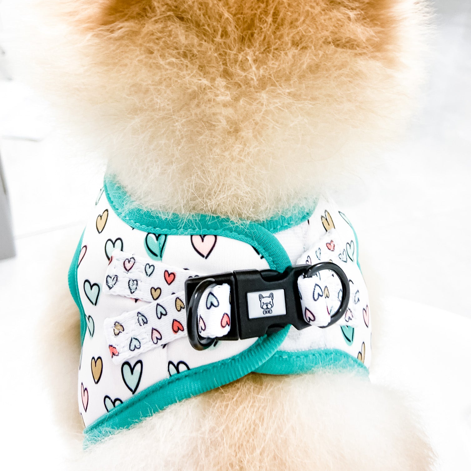 Step-In Dog Harness - Feel The Love