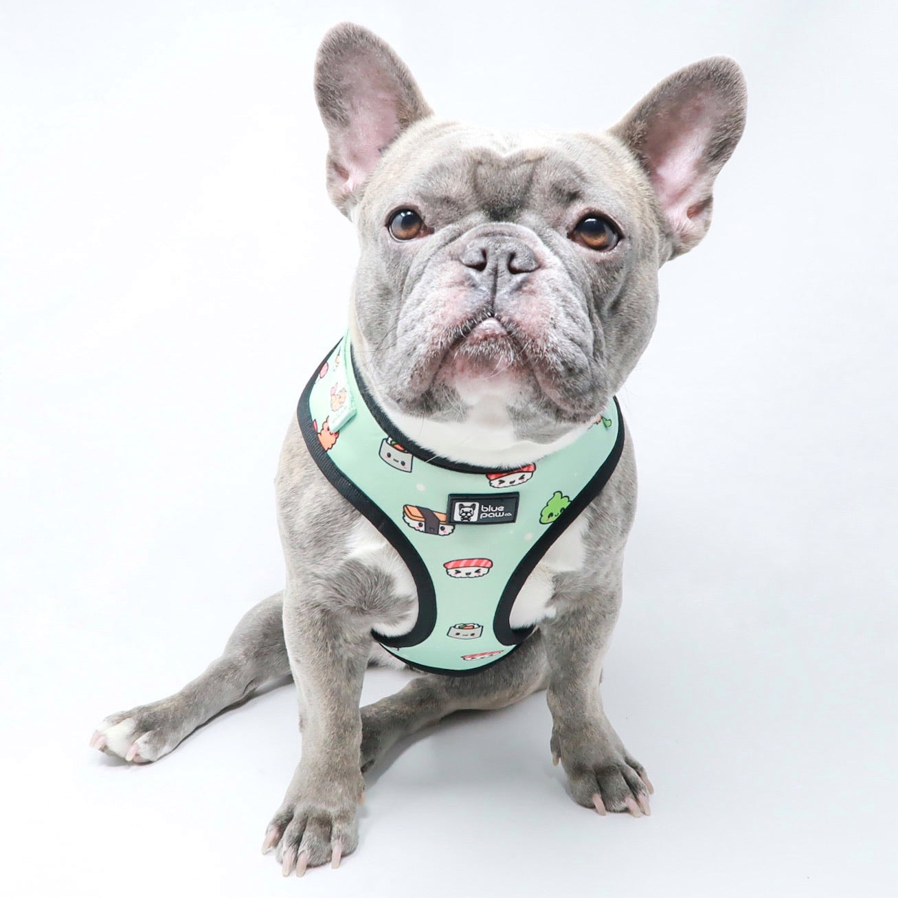 Adjustable Dog Harness - Sushi (Blue Paw Co. - FINAL SALE)