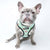 Adjustable Dog Harness - Sushi (Blue Paw Co. - FINAL SALE)