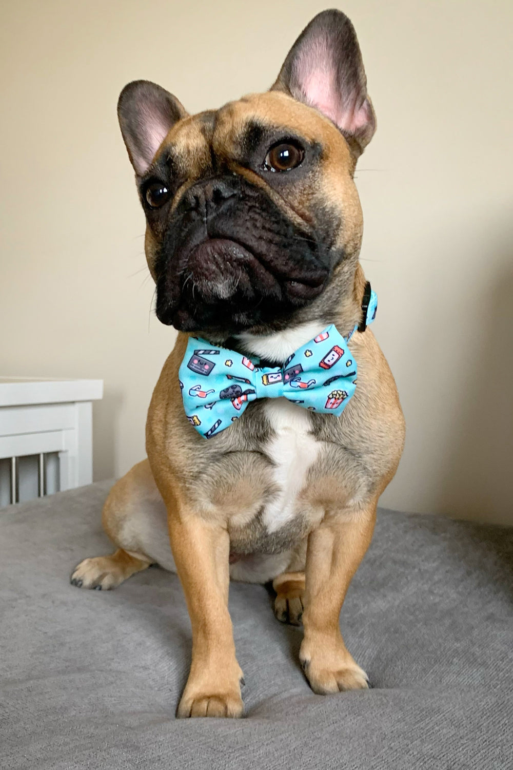 Dog Bow Tie - Pupflix (SECONDS - FINAL SALE)