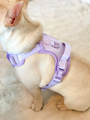 Exploration Lite No-Pull Dog Harness - Lilac