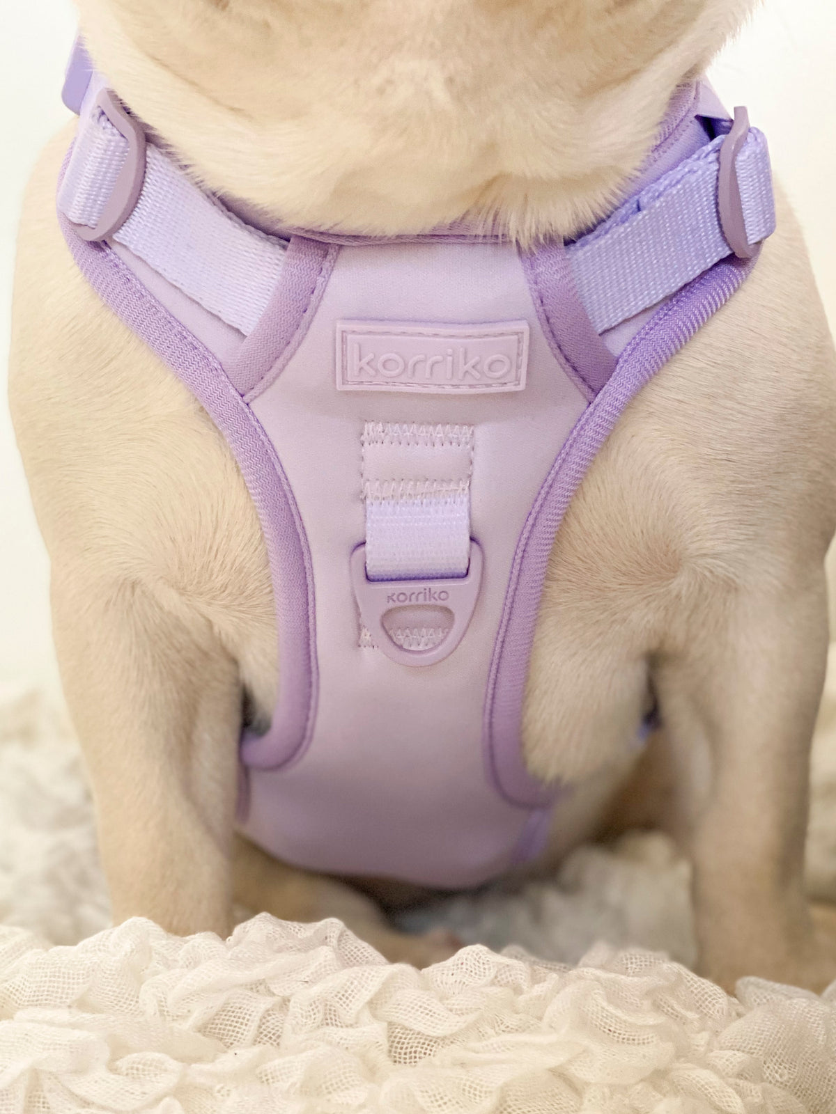 Purple camo dog sales harness