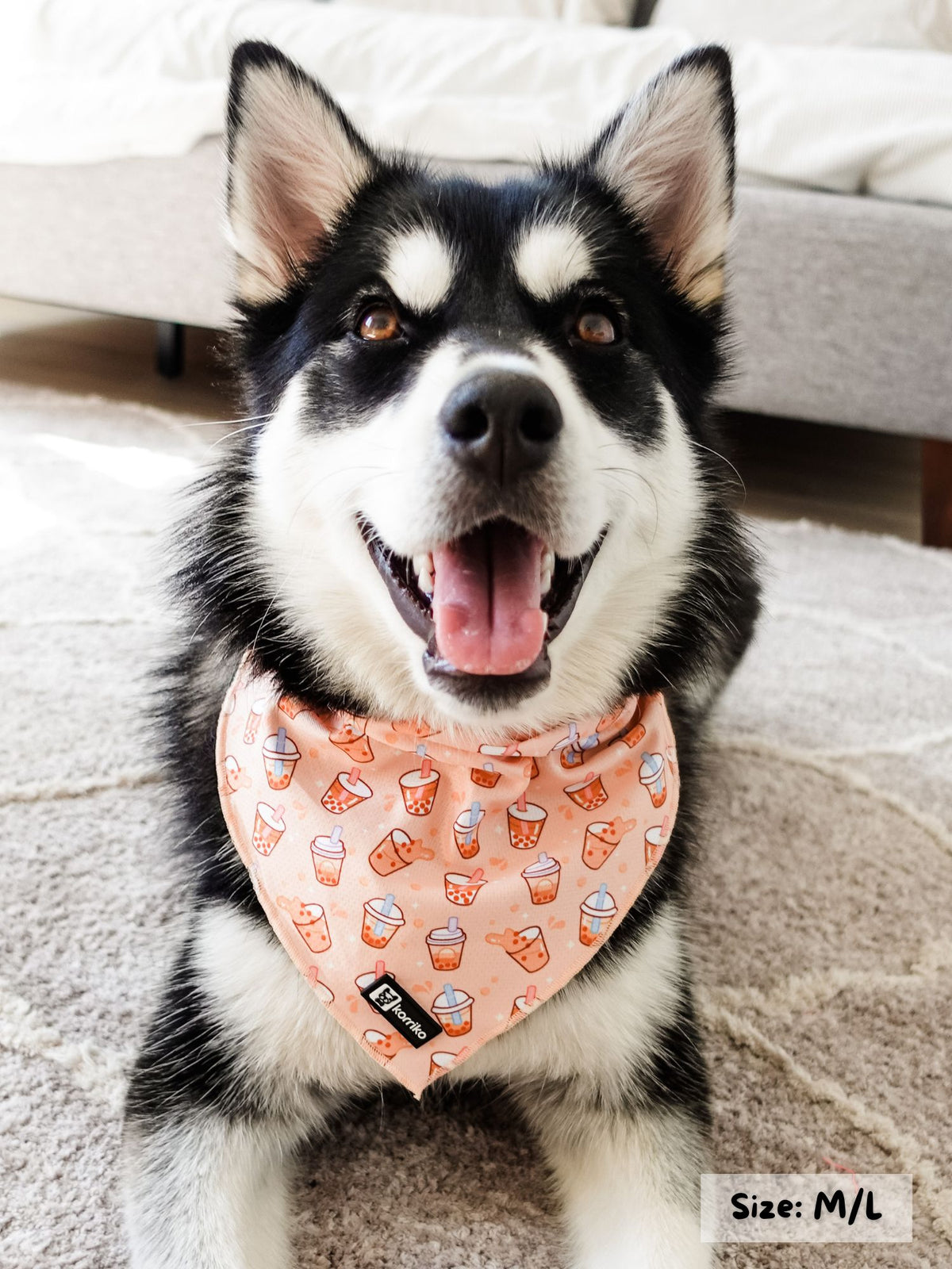 Cooling gel dog collar on sale