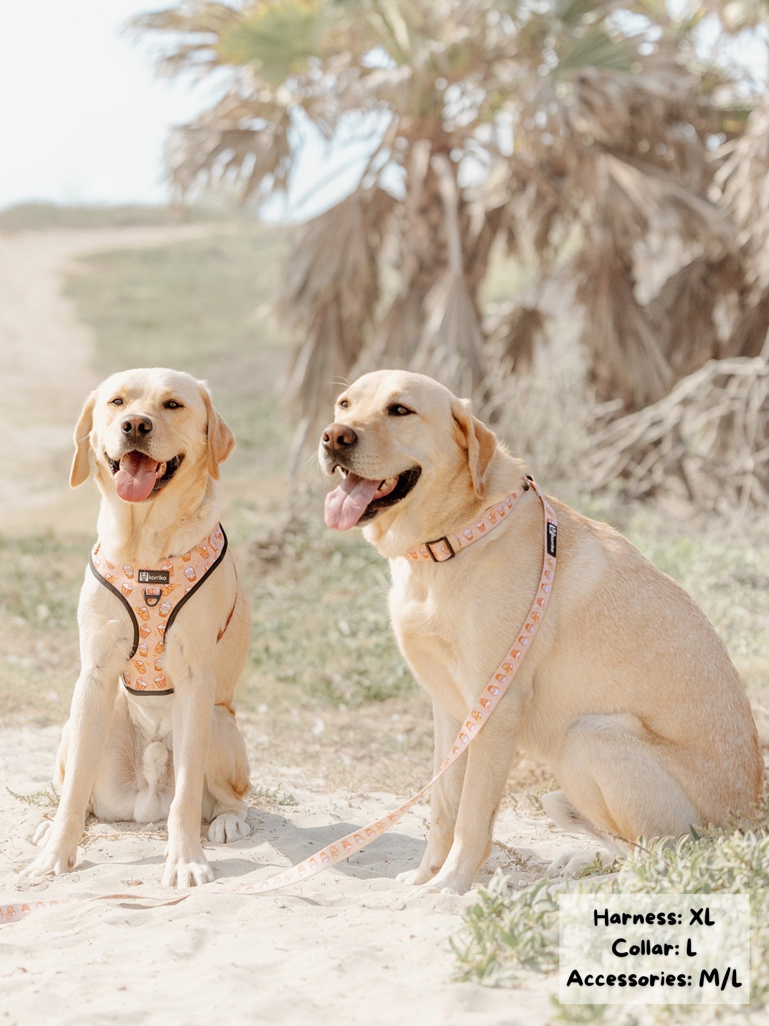 Dog Collar - Milk Tea (SECONDS - FINAL SALE)