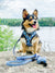 Reversible Dog Harness - Milky Way (SECONDS - FINAL SALE)