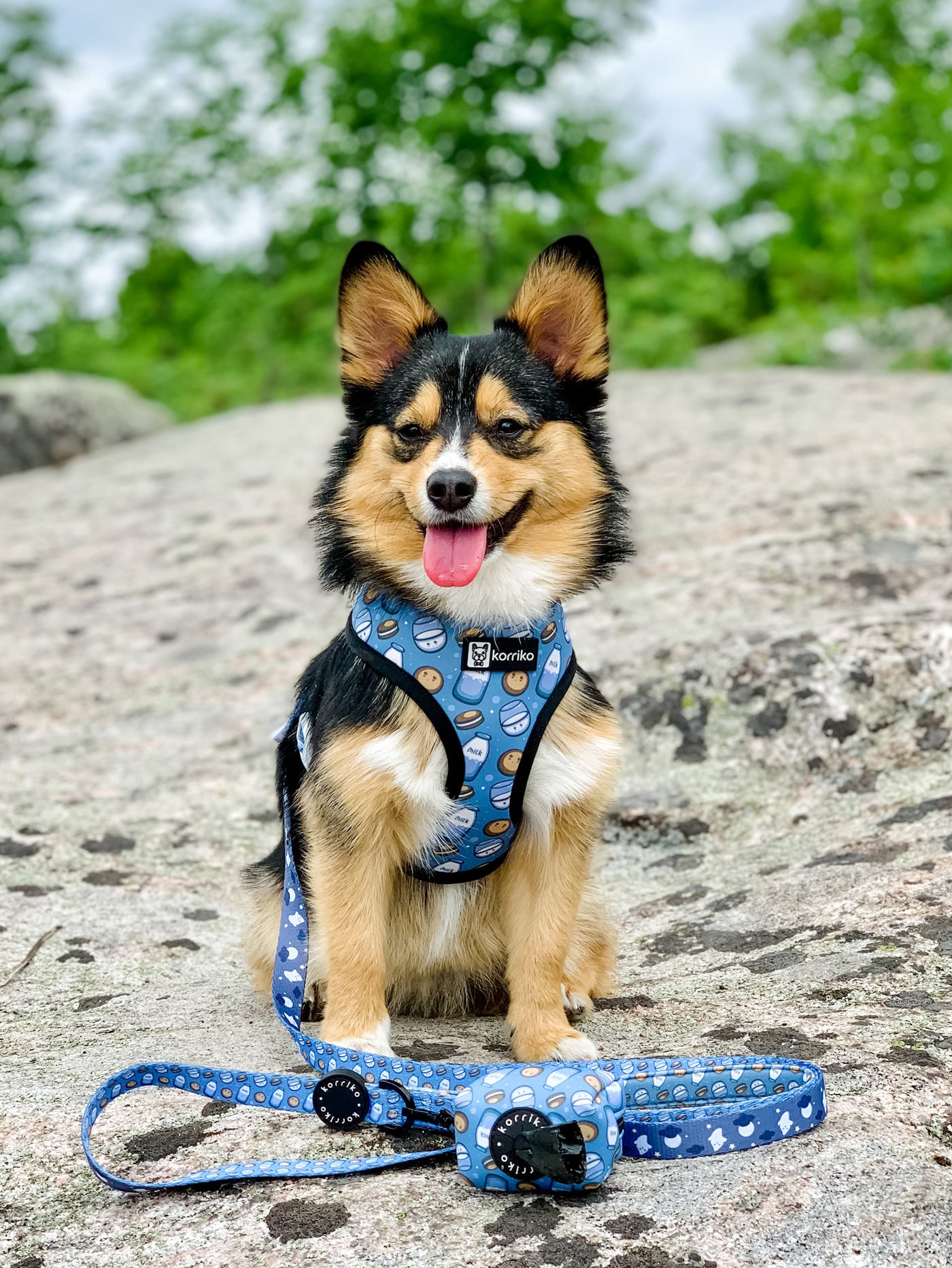 Reversible Dog Harness - Milky Way (SECONDS - FINAL SALE)