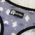 Reversible Dog Harness - Milky Way (SECONDS - FINAL SALE)