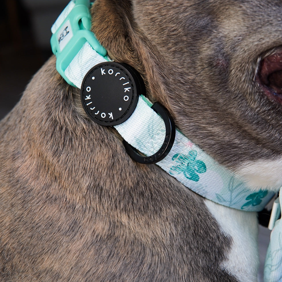 Mimco dog collar sale 2025