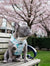 Adjustable Dog Harness - Mint Sakura (SECONDS - FINAL SALE)