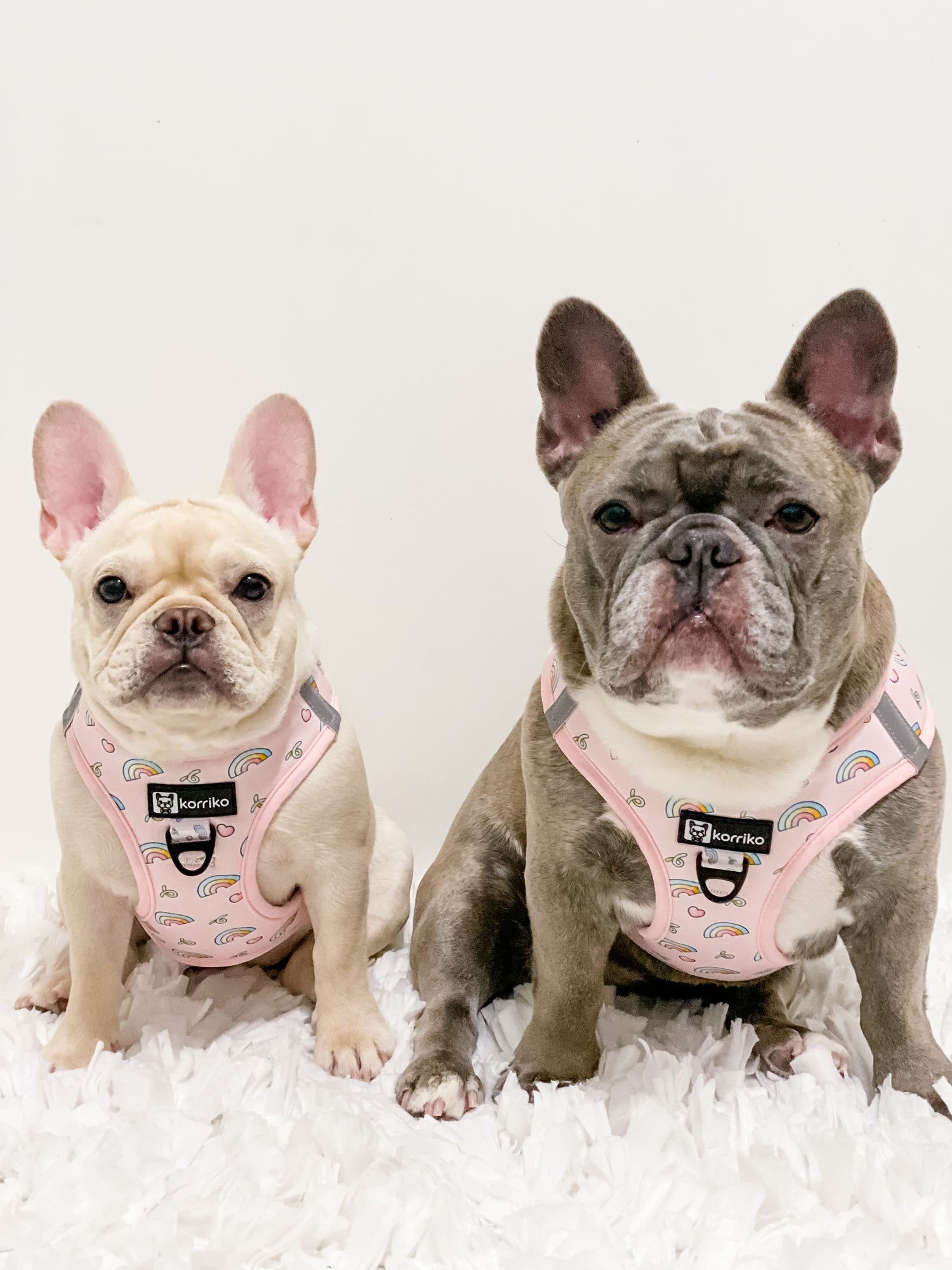 Step-In Dog Harness - Over The Rainbow (SECONDS - FINAL SALE)