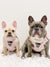 Step-In Dog Harness - Over The Rainbow (SECONDS - FINAL SALE)