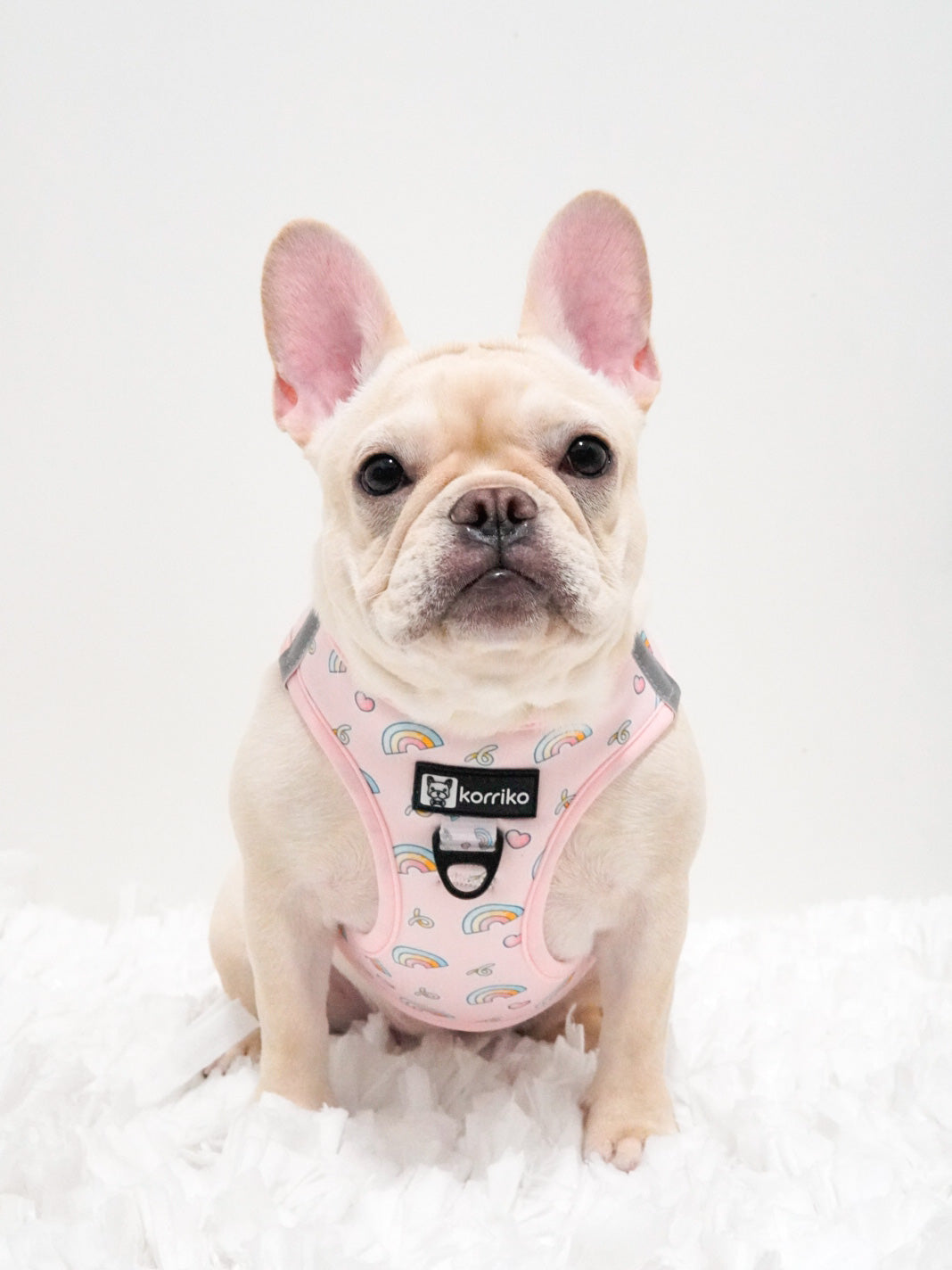 Step-In Dog Harness - Over The Rainbow (SECONDS - FINAL SALE)