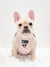 Step-In Dog Harness - Over The Rainbow (SECONDS - FINAL SALE)