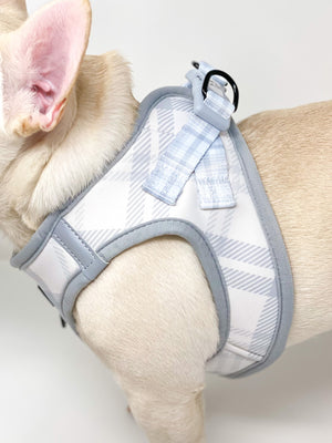 Step-In Dog Harness - Park City Plaid
