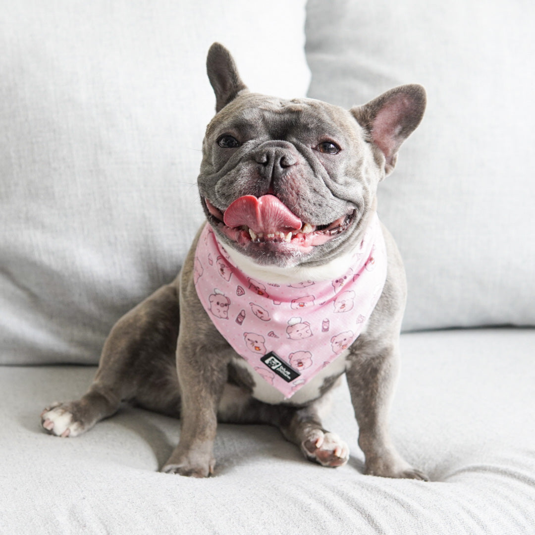 Cooling Dog Bandana - Piggin' Out (Blue Paw Co. - FINAL SALE)
