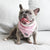 Cooling Dog Bandana - Piggin' Out (Blue Paw Co. - FINAL SALE)