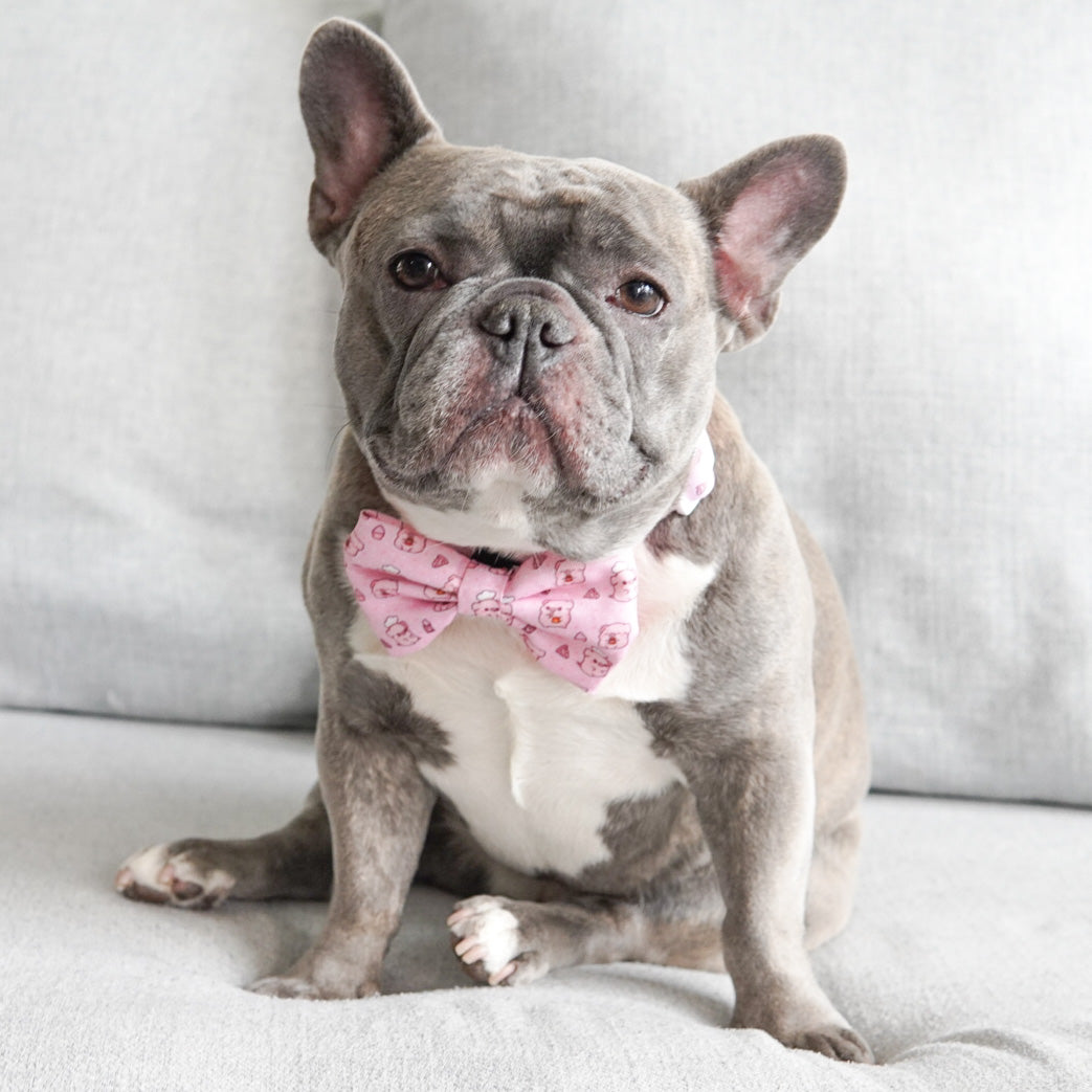 Dog Bow Tie - Piggin' Out (Blue Paw Co. - FINAL SALE)