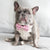 Dog Bow Tie - Piggin' Out (Blue Paw Co. - FINAL SALE)