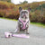 Adjustable Dog Harness - Piggin' Out (Blue Paw Co. - FINAL SALE)