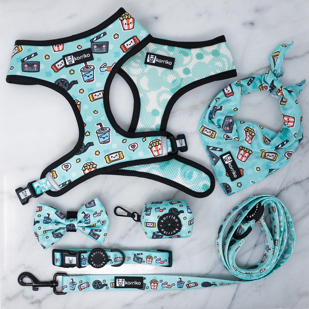 Harness Bundle Set - Pupflix (Final Sale)