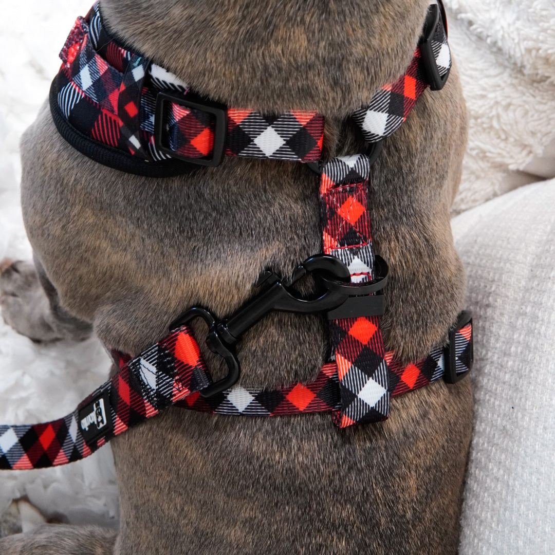 Adjustable Dog Harness Red Plaid Korriko Pet Supply