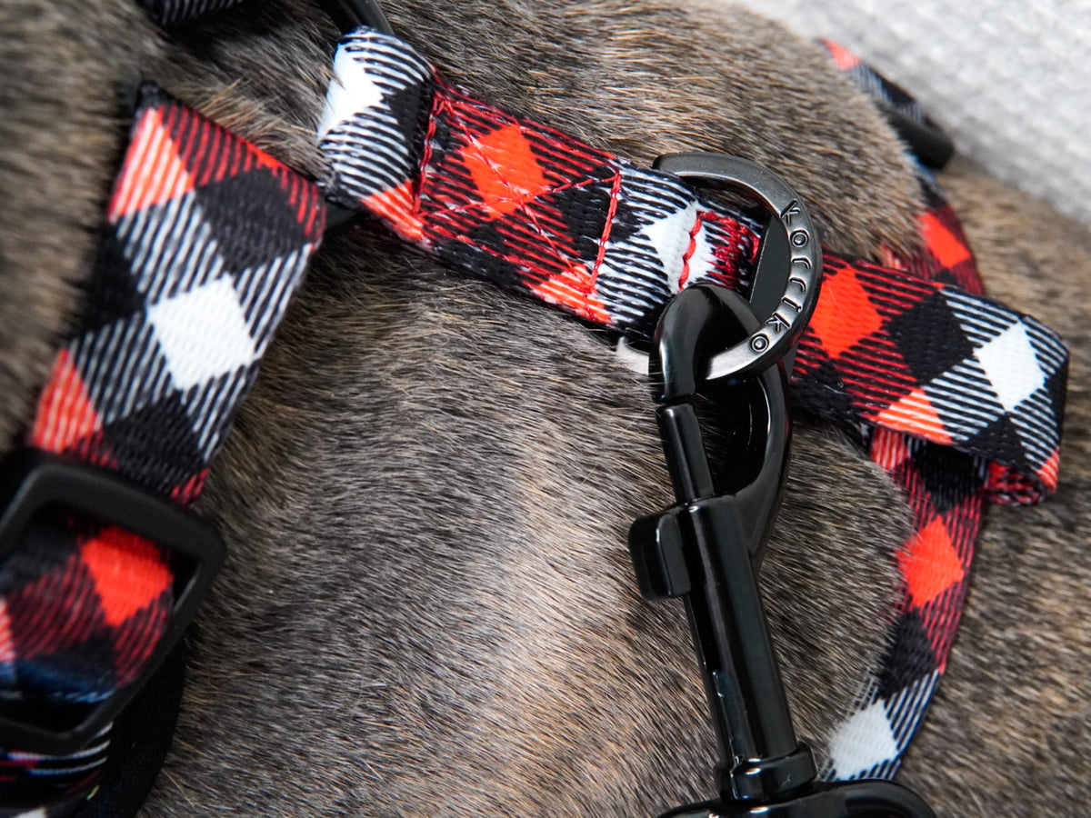 Buffalo check dog harness cheap