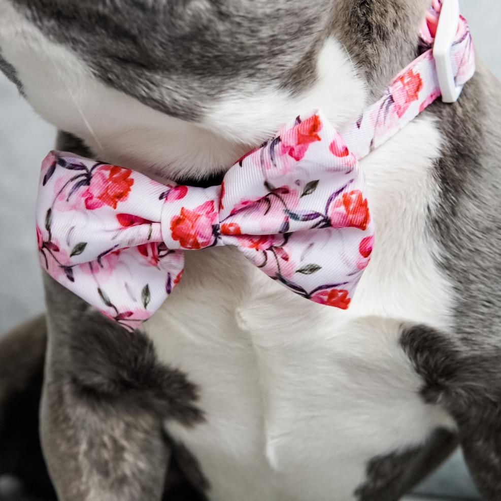 Dog Bow Tie - Rosa (SECONDS - FINAL SALE)