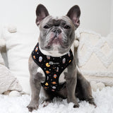 Classic No-Pull Dog Harness - Space Cadet (Final Sale)