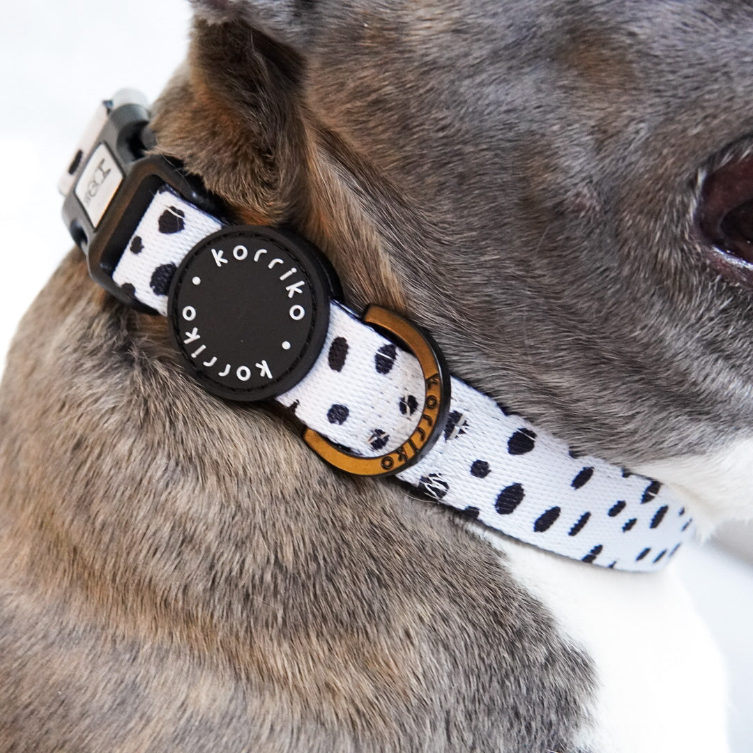 Dog Collar - Spotted (SECONDS - FINAL SALE)