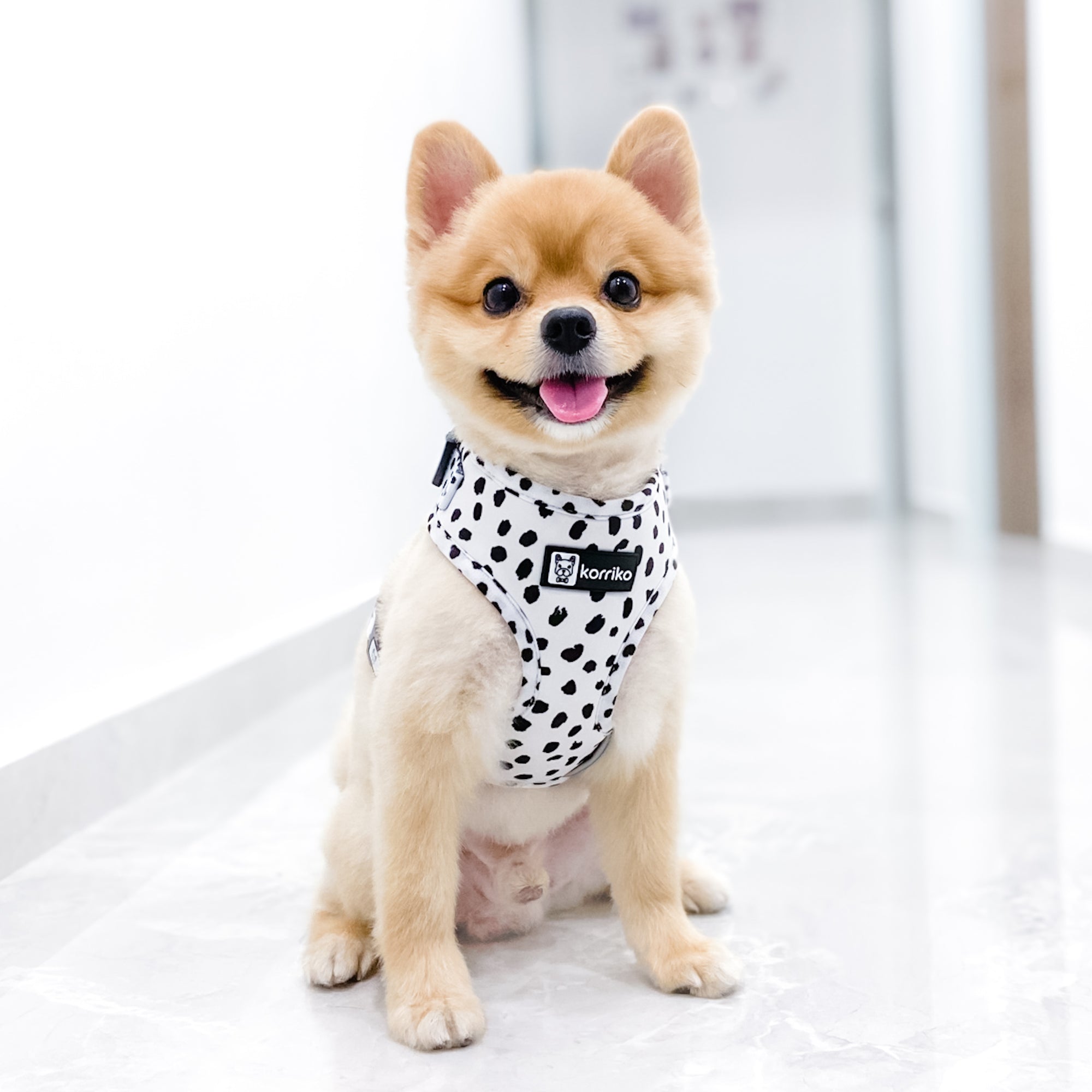 Adjustable Dog Harness - Spotted (Final Sale)