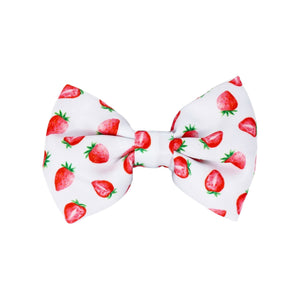 Dog Bow Tie - Strawberries & Cream (Final Sale)