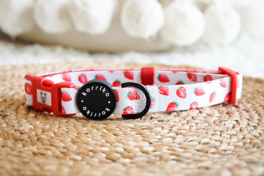 Dog Collar - Strawberries & Cream (Final Sale)