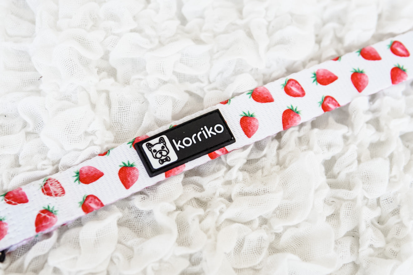 Dog Leash - Strawberries & Cream (Final Sale)