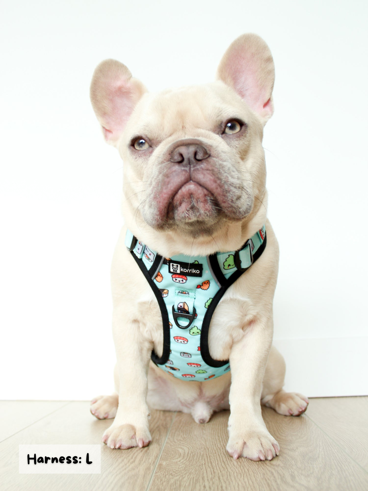 Exploration Lite No-Pull Dog Harness - Sushi