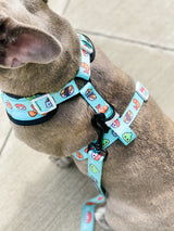 Ultimate Harness Bundle Set - Sushi (Adjustable)