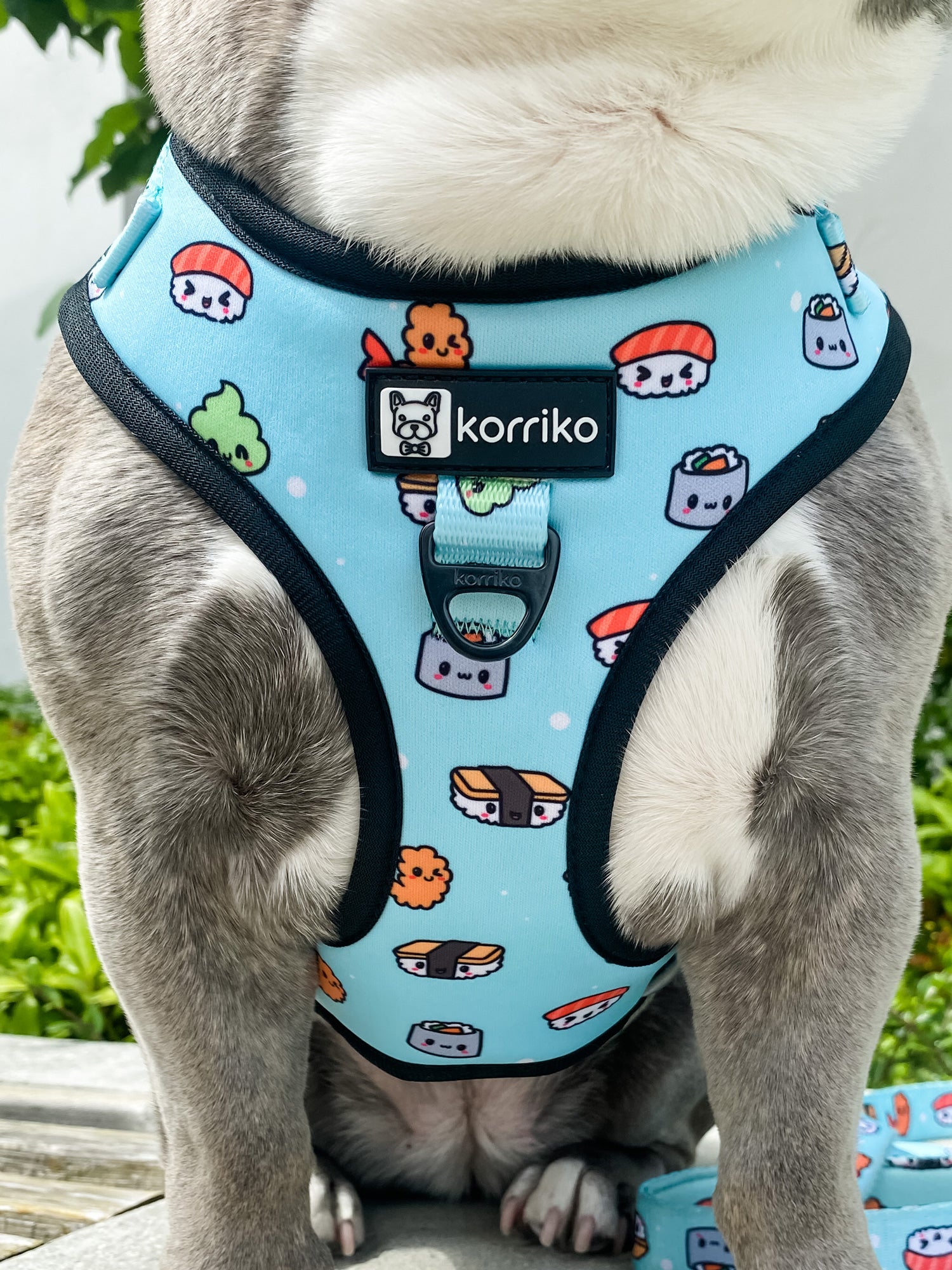Cute harness cheap