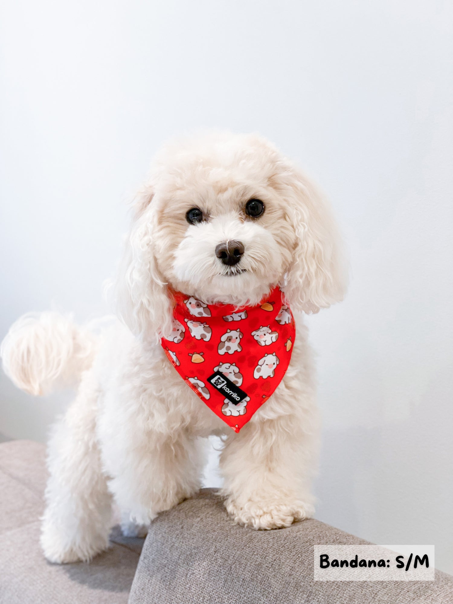 Cooling Dog Bandana - Moo Moo