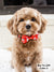 Dog Collar - Moo Moo